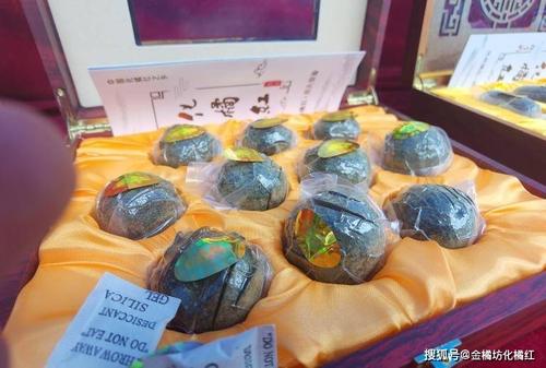 化州举办化橘红文化艺术交流暨封坛活动 传承千年文化，共襄盛举