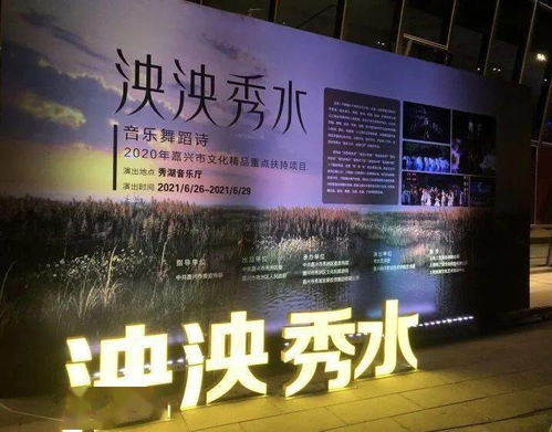 三叶花盛放，嘉兴市文化艺术中心正式启用